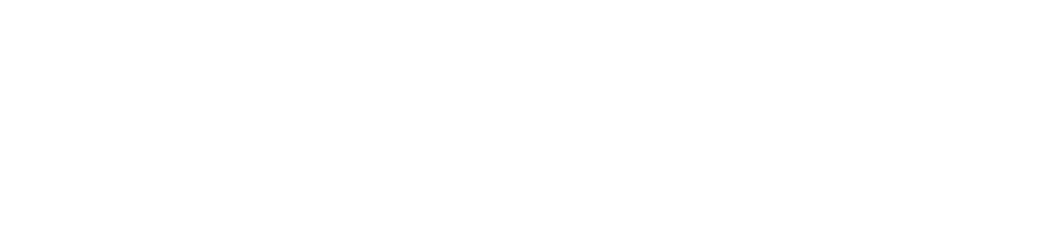 FlexPrice
